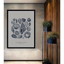 Teona Ahşap Dekoratif Ahşap Dikdörtgen Tablo Deniz Kabukları Çerçeve Görünümlü