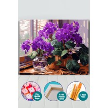 Picasso World Hobby Art Orkideler Sayılarla Boyama Seti