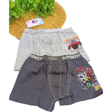 Dinamik çocuk Erkek Çocuk %95 Pamuklu Baskılı 2'li Boxer