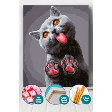 Picasso World Hobby Art Munzur Kedi Sayılarla Boyama Seti