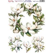 İstanbul Hobi Koyu Zemin Sulu Transfer Kağıdı 25X35CM KST-173