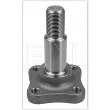 GROS Mtxdpn Arka Aks Taşiyicisi Clio Symbol 2010