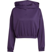 adidas Kadın  Mor  Sweatshirt MO COVER-UP JY2667