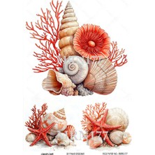 Lineart Marine Serisi MRN177 Mercan, Deniz Kabukları Desenli 29*42 cm Pirinç Dekopaj