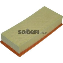 Purflux Mtxdpn Hava Filtresi Lgn-Espace-Safrane 2.2 96-01