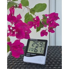 Wetto Dijital Termometre  10X9CM - LCD Ekranlı, Hassas Sıcaklık Ölçer Masa ve Duvar Kullanımına Uygun