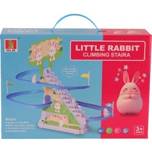 Butik Bfs 987-26 Kut Tavşan