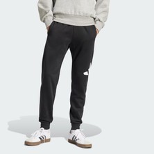 adidas Erkek  Siyah  Eşofman Altı M BL FL TC PT IN6147