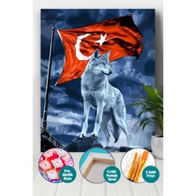 Picasso World Hobby Art Kurt ve Hilal Sayılarla Boyama Seti