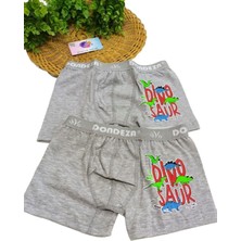 Dinamik çocuk Erkek Çocuk %95 Pamuklu Baskılı 2'li Boxer