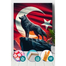 Picasso World Hobby Art Ebedi Vatan Sayılarla Boyama Seti