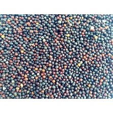 Aktar Depo Şalgam Tohumu 100 gr