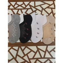 Rocks For Penye Dikişsiz Burun Tüllü 4'lü Kadın Sneaker