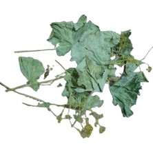 Aktar Depo Aslan Pençesi 250 gr