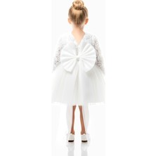 Baby Animals Kız Bebek Kız Çocuk Doğum Günü Parti Düğün Elbise Uzunkollu Güllü Fiyonklu Tüllü Tütü Astarlı