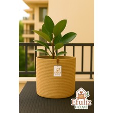 Çok Amaçlı Dekoratif Organizer Sepet (En:30,boy:30)