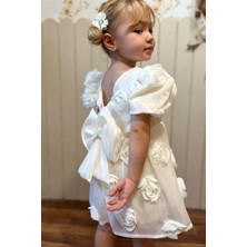 Baby Animals Kız Bebek Kız Çocuk Doğum Günü Parti Düğün Elbise Kısa Kol Tüllü Tütülü Tütü Astarlı