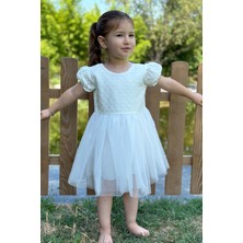 Baby Animals Kız Bebek Elbise Kız Çocuk Elbise Doğum Günü Parti Düğün Elbise Dantelli Kısa Kol astarlı elbise