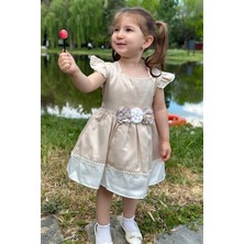 Baby Animals Kız Bebek Elbise Kız Çocuk Elbise Doğum Günü Parti Düğün Elbise Dantelli Kısa Kol astarlı elbise