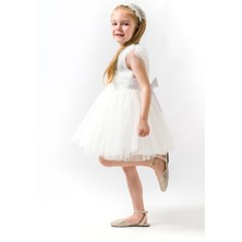 Baby Animals Kız Bebek Kız Çocuk Doğum Günü Parti Düğün Elbise Kolsuz Taçlı Fırfırlı Tüllü Tütülü Tütü Astarlı