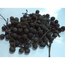 Aktar Depo Balık Otu 250 gr