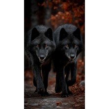 Aydın Garage Kurt Kapı Direk Kaplama Folyosu Baskılı Sticker Sağ-Sol 2 Adet 22*50 cm