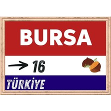 Özcan Tasarım Bursa Tablo - Retro Tablo