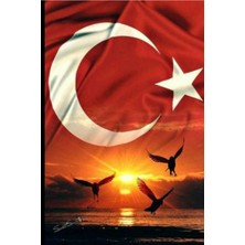 Aydın Garage Türk Bayrağı Kurt Kapı Direk Kaplama Folyosu Baskılı Sticker Sağ-Sol 2 Adet 22*50 cm