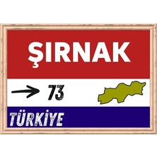 Özcan Tasarım Şırnak Tablo - Retro Tablo