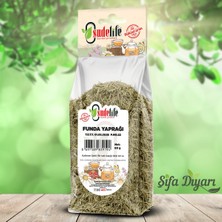 Sudelife Funda Yaprağı 60 gr