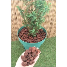 Misda Store Pomza Taşı 40 Lt 1-2 cm Dekoratif Pomza Taşı Kırmızı Pomza Tarım Pomzası Lav Taşı Cüruf Ponza