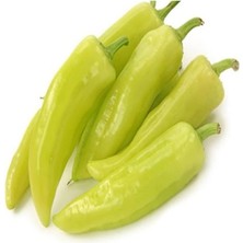 Misda Store Adet Samsun Çarliston Biber Tohumu