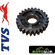 Tvs Raider 125 Vites Dişlisi MTNN6080560