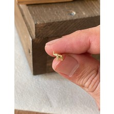 Aida Jewelss 925 Ayar Gümüş Fil Tragus Kıkırdak Helix Piercingi Gümüş Piercing