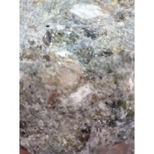 Aktar Depo Cavi / Asilbent (Benjoin Official) 100 gr