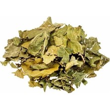 Aktar Depo Dut Yaprağı 250 gr