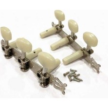 Misda Store Raymond Cgtg Gitar Aksesuar Klasik Burgu Takımı