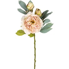 Mena Rise Çiçek Şakayık Somon 62 Cm.