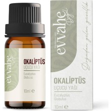 Evvahe Doğal Okaliptus Yağı (10 ml)