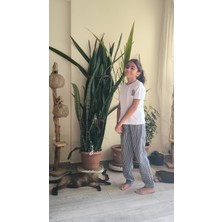 Şimo Butik Kız Çocuk Pantolonlu Tişörtlü Takım Beyaz Tişört Pötikareli Pantolon Kırmızı, Siyah, Sarı