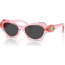 Swarovski Güneş Gözlüğü SK6050 52 108887