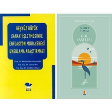 Kapı Yayınları Beşyüz Büyük Sanayi Işletmesinde Enflasyon Muhasebesi Uygulama Araştırması + Göl Saatleri