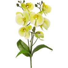 Storemax Yapay Orkide Gerçek Dokunuş Yeşil 45 Cm.