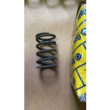 Opar Murat 124/SERÇE Uyumlu Subap Dış Yayı 1 Adet Eski Üretim