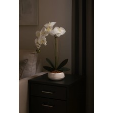 Maki Dekor Dekoratif Modern Saksıda Islak Dokulu Yapay Orkide Çiçeği