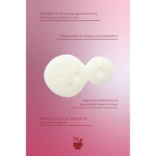 Mena Rise Cosmed Kırışıklık ve Yaşlanma Karşıtı Yüz Bakım Serumu