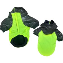 Göktürk Chick Köpek Yağmurluk S