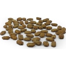 Aktar Depo Kudret Narı Tohumu 500 gr