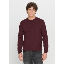 Altınyıldız Classics Bisiklet Yaka Standart Bordo Erkek Kazak ACE043261432_BRD