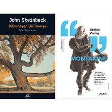 Alfa Yayınları Bilinmeyen Bir Tanrıya + Montaigne